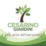 Cesarino Giardini