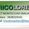 TRICOLORE PITTORI DI PIETRO PICCIONE