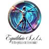 EQUILIBRIO SOCIETA A RESPONSABILITA LIMITATA SEMPLIFICATA