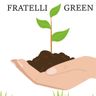 FRATELLI GREEN DI CONSTANTIN CIOBANU