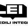 L.E.I. SOCIETA A RESPONSABILITA LIMITATA SEMPLIFICATA