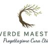 VERDE MAESTRO DI DANIELE ROSELLI