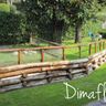 Dimaflor S.N.C.