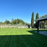 MANUTENZIONE GIARDINI E POTATURE DI MARCUCCI FEDERICO