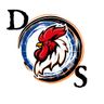 DS GALLO DI GALLO DIEGO E C. SAS