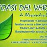 L'OASI DEL VERDE DI LOCCHI ALESSANDRO