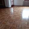 TUTTO LEGNO DI ALESSANDRO BIZZARRO