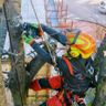 Treeclimber-service