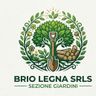 NUOVA BRIO LEGNAMI - SOCIETA A RESPONSABILITA LIMITATA SEMPLIFICATA