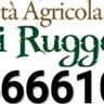 F.lli Ruggeri soc agr ss