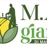 M.A. GIARDINI DI ANTONELLO MAGISTA