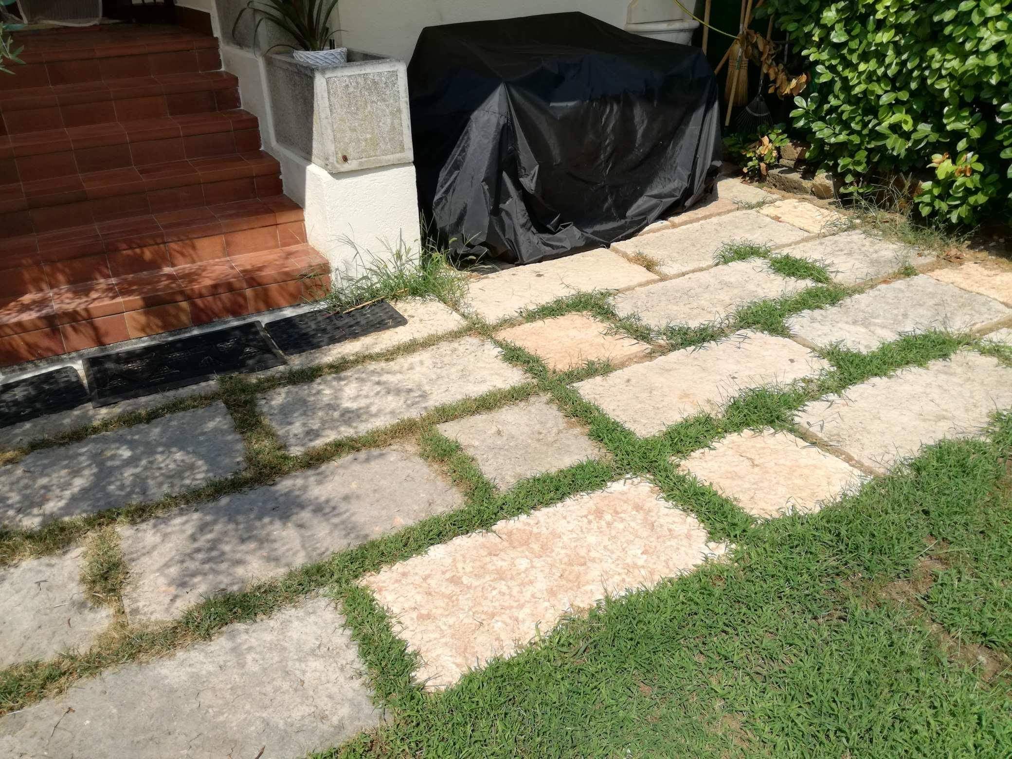 Pavimentazione esterna: 20 mq; Giardino o cortile; Cemento, Piastre ... - 92187aD2 1566 4D83 A2cf 084D5Dcb26ba